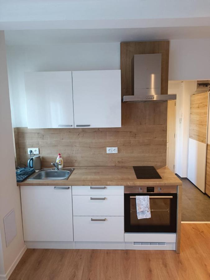 Zoo Karlovarska Apartment Plzen Ngoại thất bức ảnh
